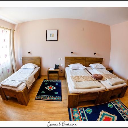 Conacul Domnesc Hotel Scheia Ngoại thất bức ảnh