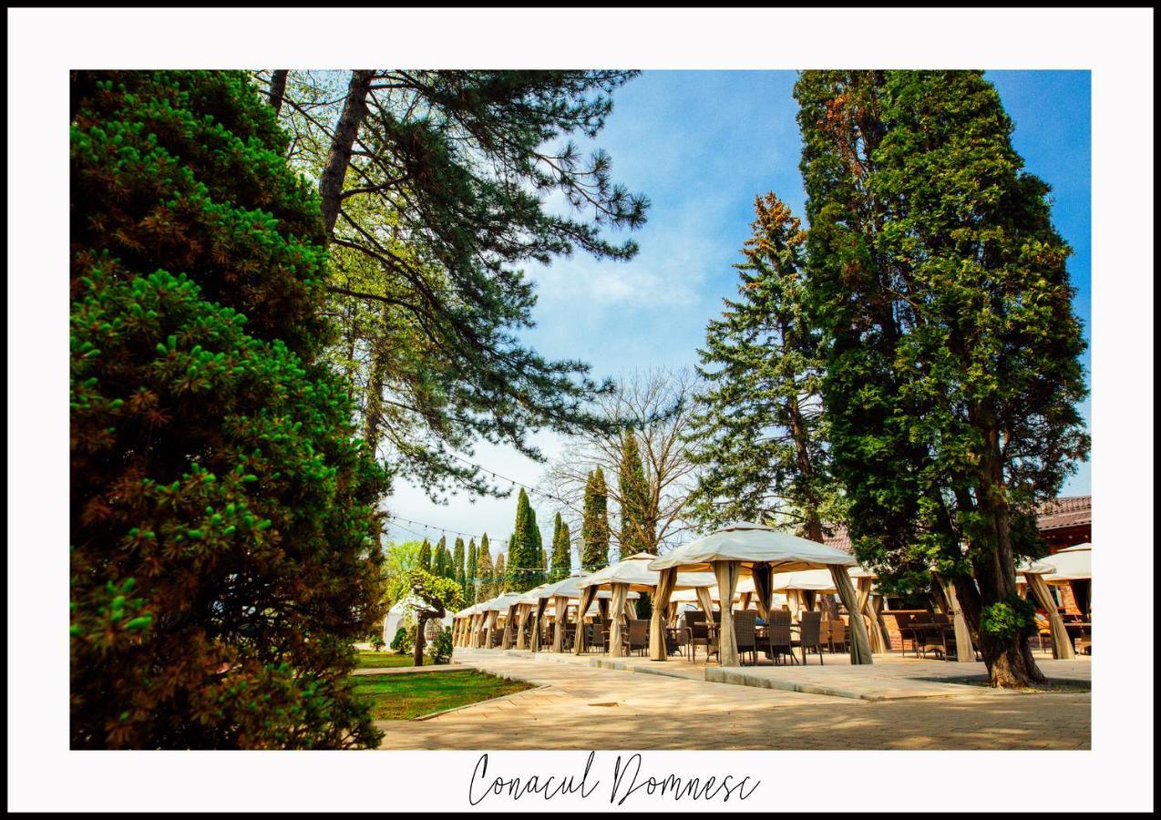 Conacul Domnesc Hotel Scheia Ngoại thất bức ảnh