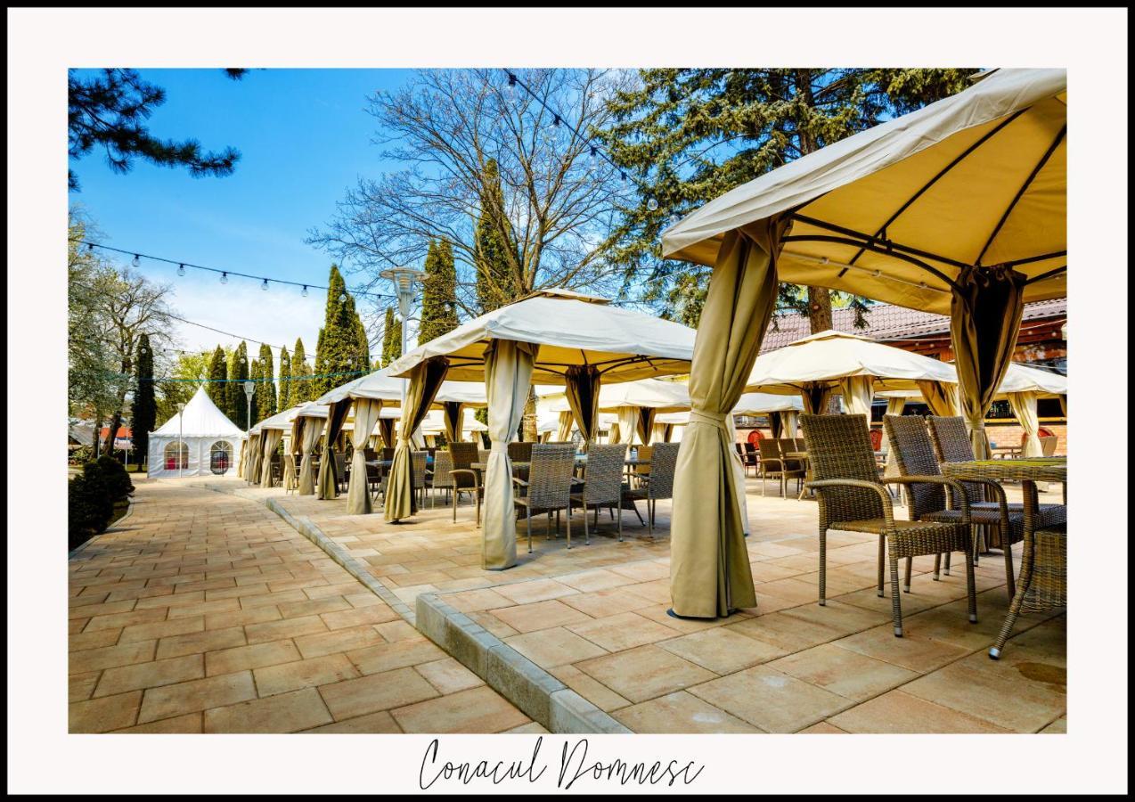 Conacul Domnesc Hotel Scheia Ngoại thất bức ảnh