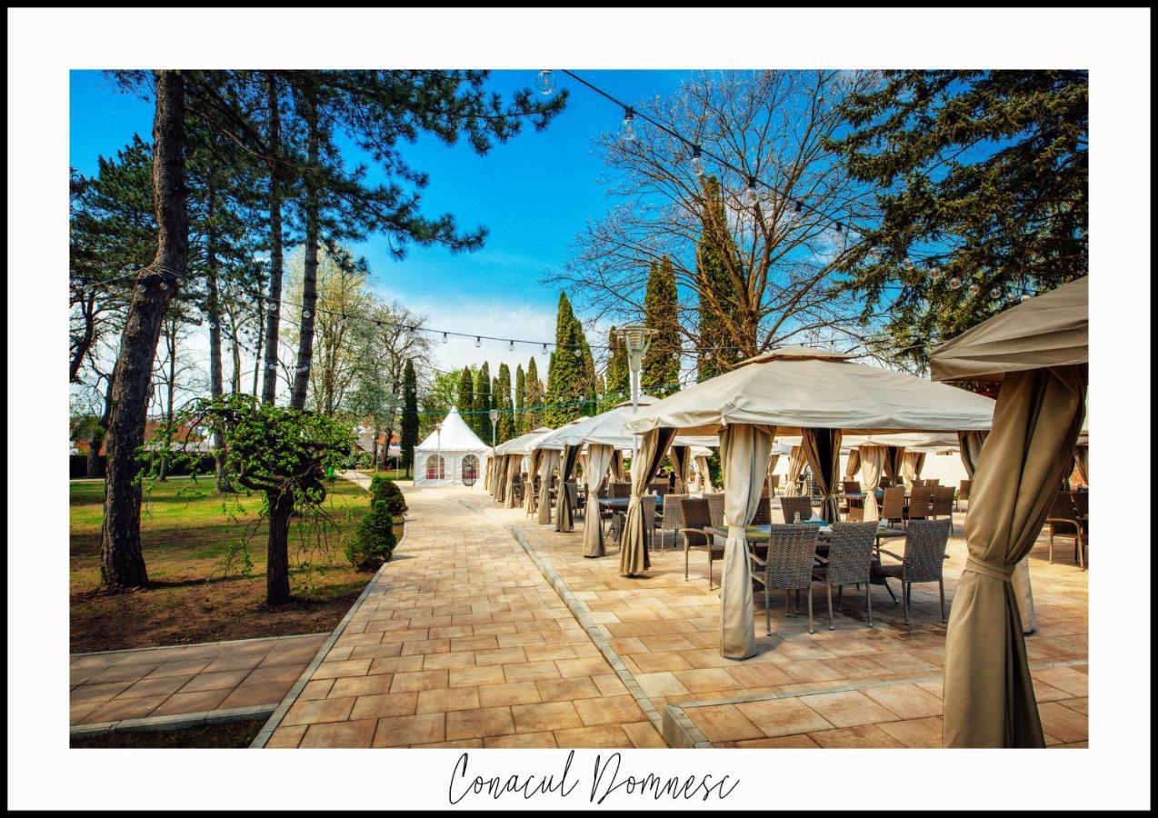 Conacul Domnesc Hotel Scheia Ngoại thất bức ảnh